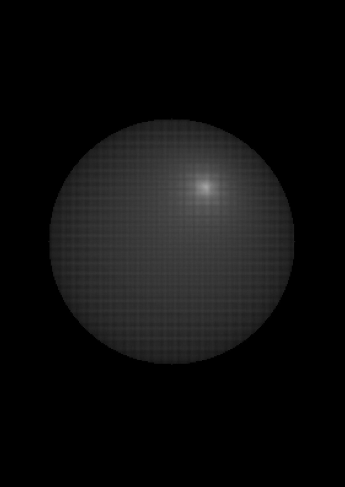 010.jpg
